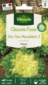Chicorée Frisée Très Fine Maraîchère 3